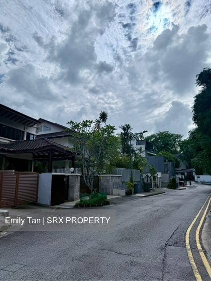 Capitol Park (D11), Semi-Detached #535428811